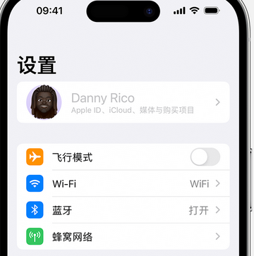 寒亭appleID维修服务iPhone设置中Apple ID显示为灰色无法使用 