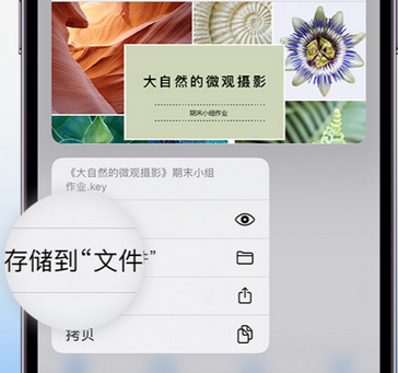 寒亭apple维修中心分享iPhone文件应用中存储和找到下载文件