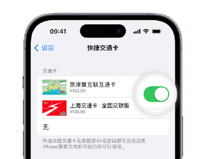 寒亭apple维修点分享iPhone上更换Apple Pay快捷交通卡手绘卡面 