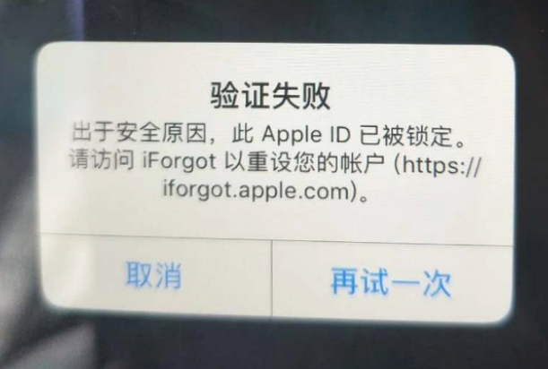 寒亭iPhone维修分享iPhone上正常登录或使用AppleID怎么办 