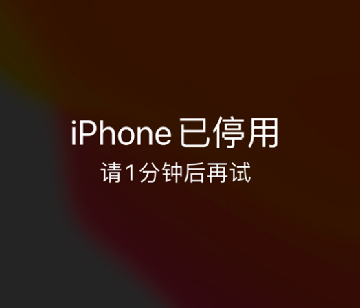 寒亭苹果手机维修分享:iPhone 显示“不可用”或“已停用”怎么办？还能保留数据吗？ 