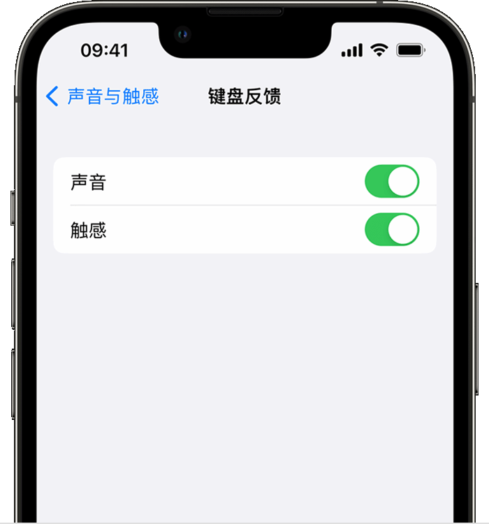 寒亭苹果14维修店分享如何在 iPhone 14 机型中使用触感键盘 