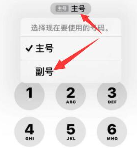 寒亭苹果14维修店分享iPhone 14 Pro Max使用副卡打电话的方法 