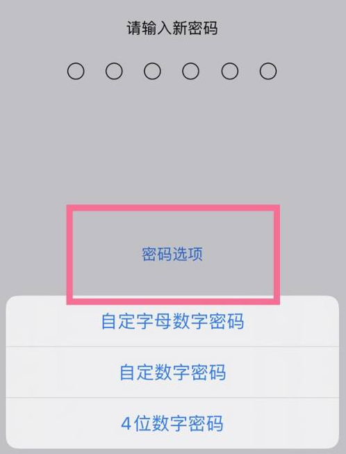 寒亭苹果14维修分享iPhone 14plus设置密码的方法 