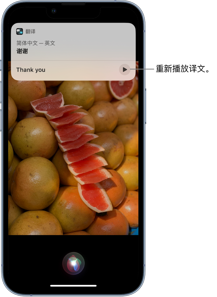 寒亭苹果14维修分享 iPhone 14 机型中使用 Siri：了解 Siri 能帮你做什么 