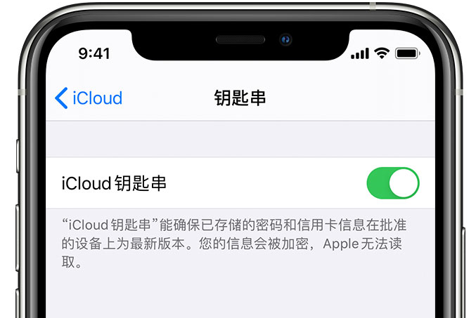 寒亭苹果手机维修分享在 iPhone 上开启 iCloud 钥匙串之后会储存哪些信息 