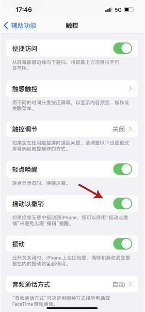 寒亭苹果手机维修分享iPhone手机如何设置摇一摇删除文字 