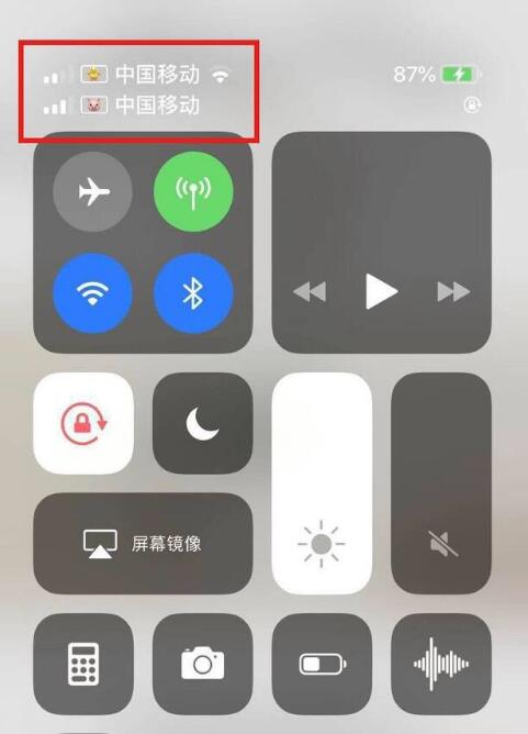 寒亭苹果手机维修分享为 iPhone 12 双卡设置标签 