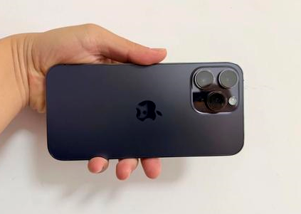 寒亭苹果维修点分享iPhone 14 Pro Max黑屏少见故障盘点 